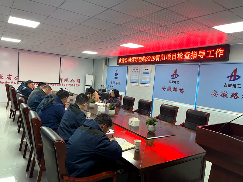 公司黨委委員、紀(jì)委書記王鵬到S219青陽(yáng)改建項(xiàng)目調(diào)研指導(dǎo)工作